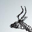 Antelope, 2012