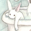 Bathtime, 2013
