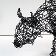 Bison, 2013