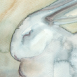 Blue Bunny, 2013