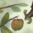 Seven of Crows - 2011