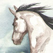 Dreaming Horse - 2008