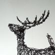 Elk, 2013
