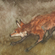 Fox Fog - 2009