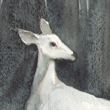 Ghost Doe - 2009