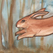 I dream of the same things, 2011