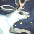 Jackalope Dream - 2007