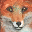 Mandala Fox, 2018
