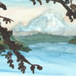 Mt Rainier, 2013
