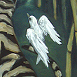 Oddstripe in the Bamboo, 2006
