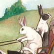 Pony Cart - 2008