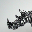 Rhino, 2012
