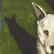 Shadow Play - 2006