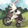 The Tricycle Series - 2007