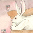 TV, 2013