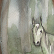 Unicorns, 2012