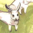 White Rabbit Series - 2007