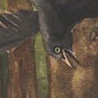 The Wild-eyed Crow - 2007