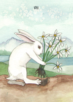 the Rabbit Tarot by Nakisha